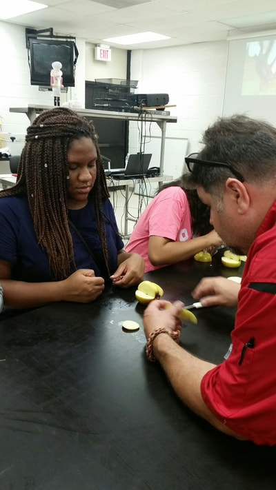 Chef helping a student carve her apple swan.