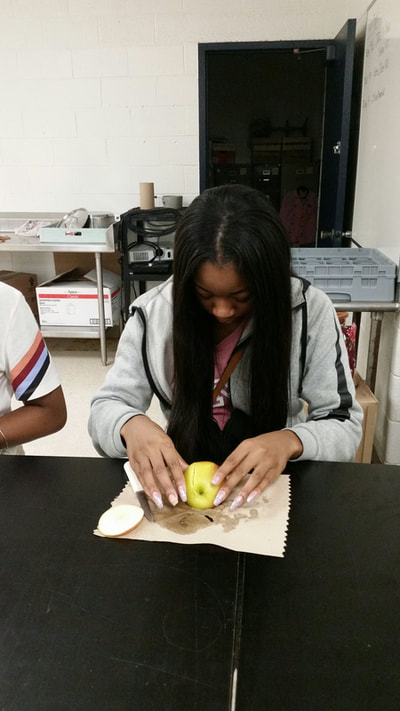 Culinary 5 and 6student working on creating an apple swan.  