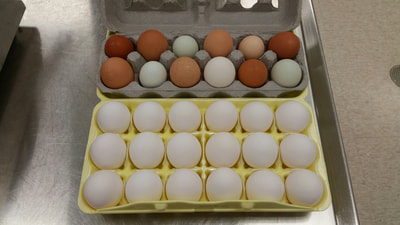 Picture featuring one dozen fresh eggs from a farm in variety of colors versus 18 count white eggs from a store.