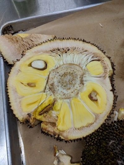 Jackfruit slice.